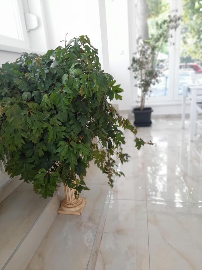 Bed and Breakfast Orion Panzio Hajdúszoboszló Zewnętrze zdjęcie